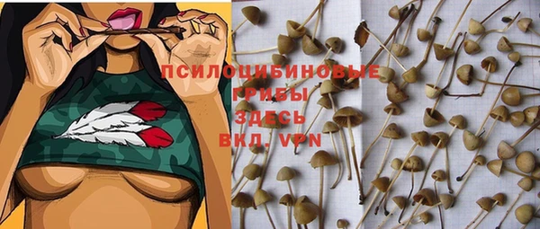 jwh Волосово