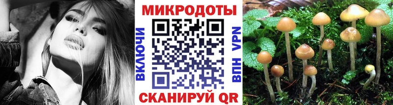 продажа наркотиков  МЕГА ONION  площадка наркотические препараты  Лысково  Галлюциногенные грибы Psilocybe 